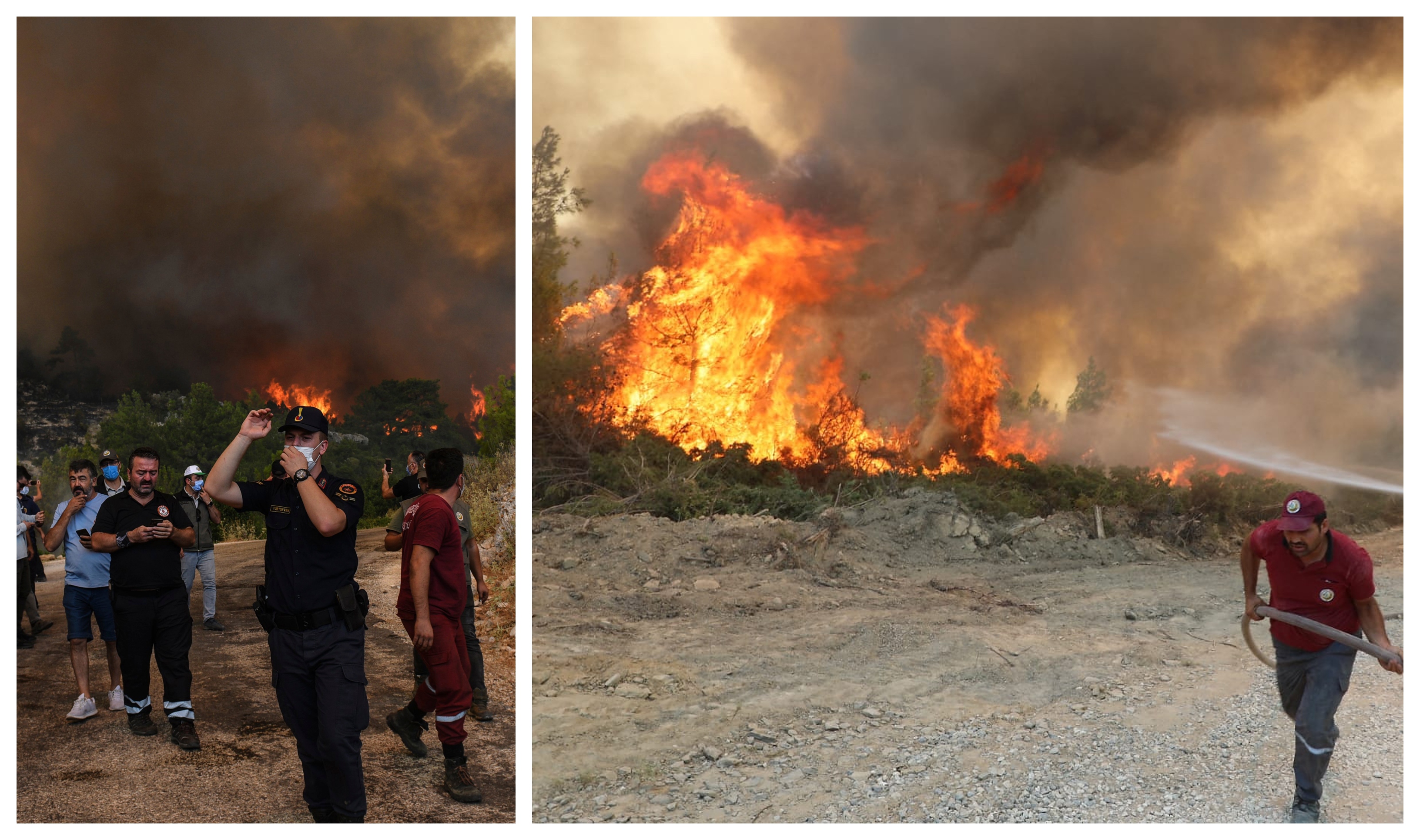 Skogsbränder, Skogsbrand, turkiet, Grekland